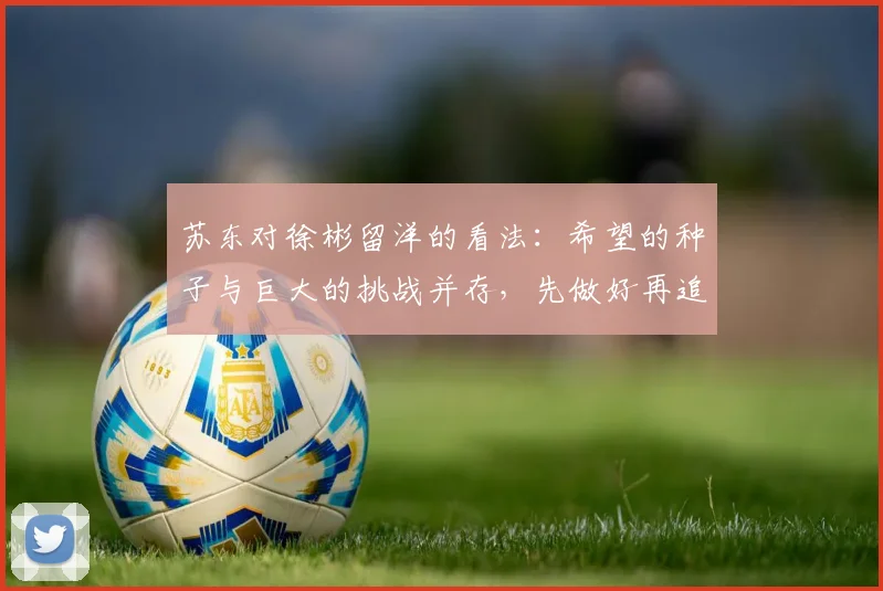 苏东对徐彬留洋的看法：希望的种子与巨大的挑战并存，先做好再追求完美